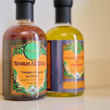 Maison Des Barons * Νίκαια